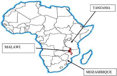 Understanding specific gender dynamics in the cowpea value chain for key traits to inform cowpea breeding programs in Malawi, Mozambique and Tanzania